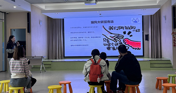 必胜携手公益组织猫狗大联盟上海开展“关爱流浪动物”公益活动